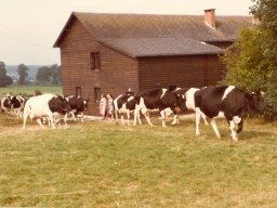 1980 | Werbomont