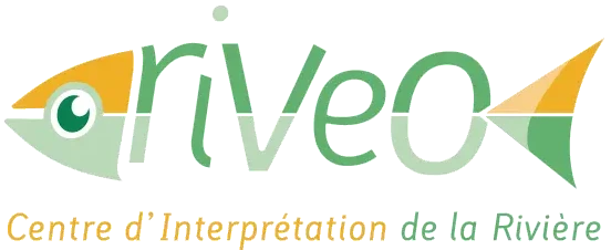 453 riveo h 38EACC8F