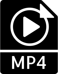 MP4 copy