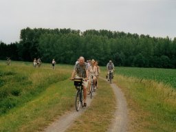 2003 | Rotselaar