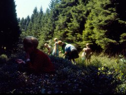 1970 | Stavelot