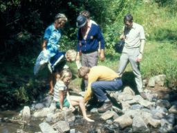 1971 | Wancennes