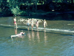 1971 | Wancennes