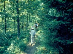 1973 | Stavelot