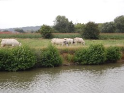 2010 | Kluisbergen