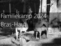 Familiekamp